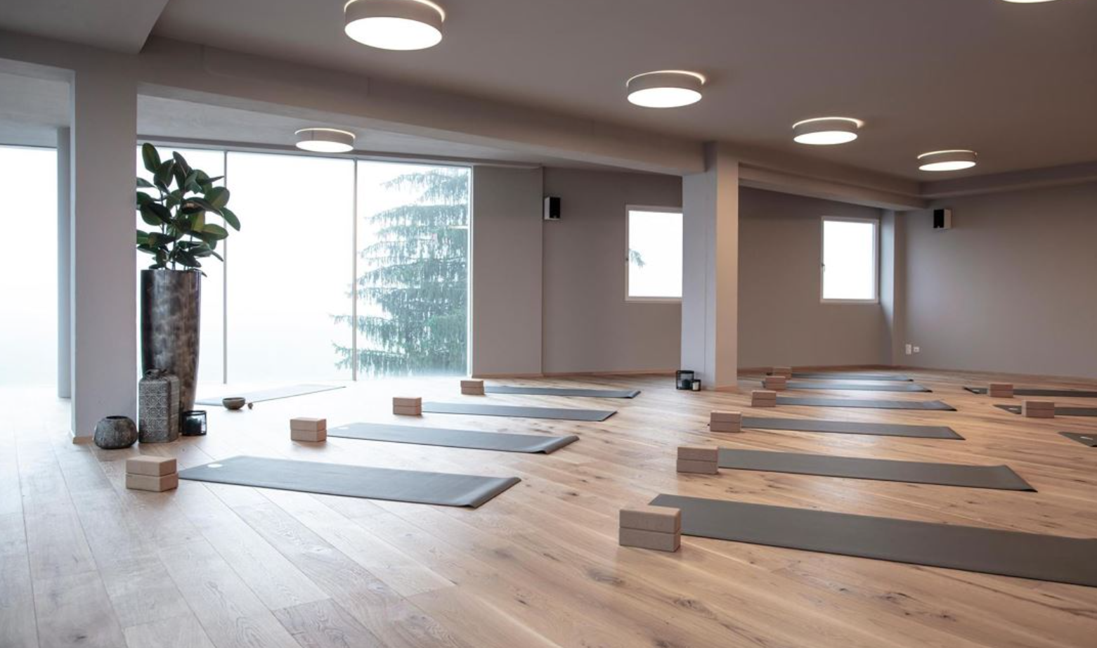 Beste Yogastudios Cottbus