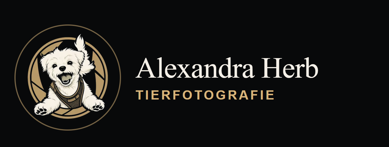 Alexandra Herb Tierfotografie