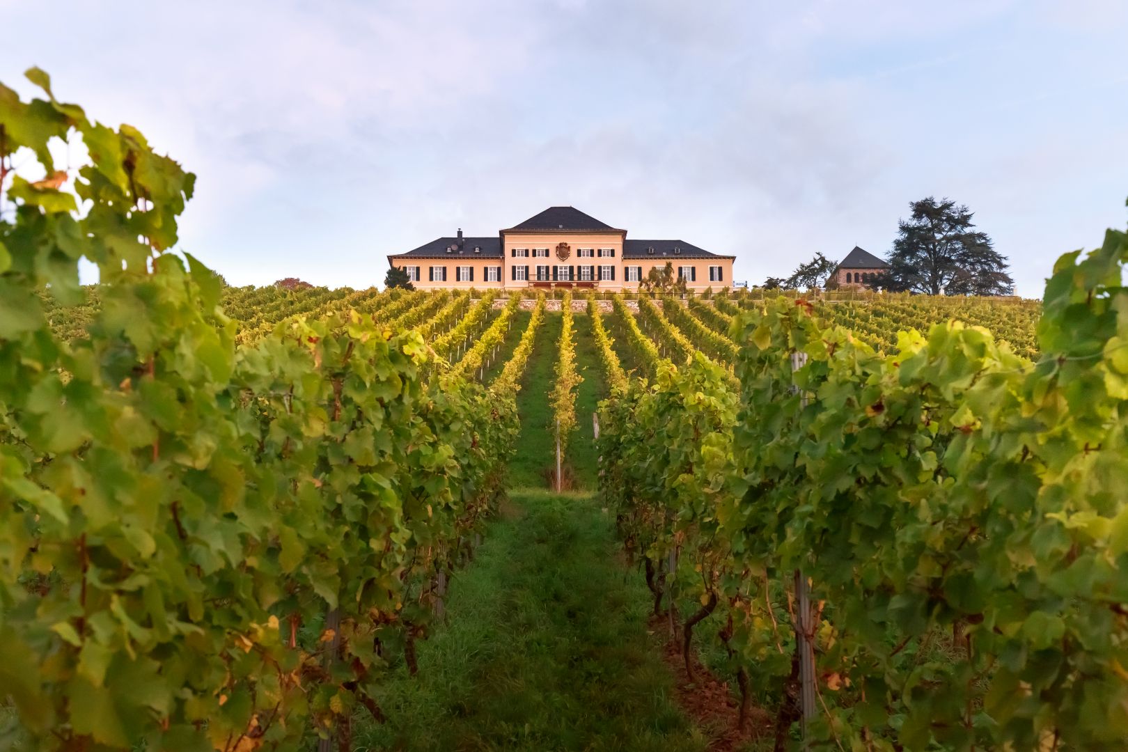 Schloss Johannisberg
